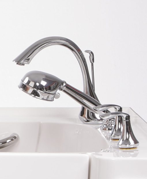 Walk In Tub Faucet and Hand Shower System